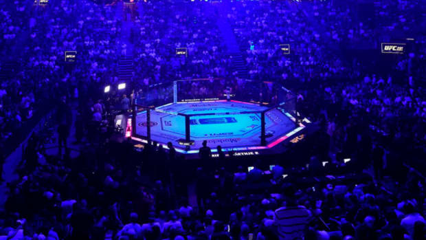 A shot of the world-famous UFC Octagon.